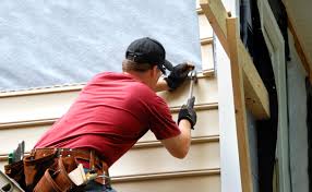 Best Siding Painting and Refinishing  in Lombard, IL